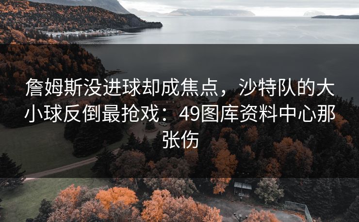 詹姆斯没进球却成焦点，沙特队的大小球反倒最抢戏：49图库资料中心那张伤